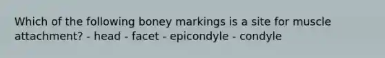 Which of the following boney markings is a site for muscle attachment? - head - facet - epicondyle - condyle