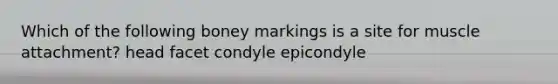 Which of the following boney markings is a site for muscle attachment? head facet condyle epicondyle