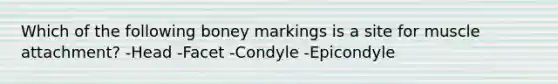 Which of the following boney markings is a site for muscle attachment? -Head -Facet -Condyle -Epicondyle