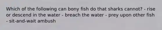 Which of the following can bony fish do that sharks cannot? - rise or descend in the water - breach the water - prey upon other fish - sit-and-wait ambush