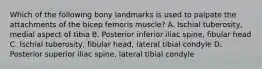 Which of the following bony landmarks is used to palpate the attachments of the bicep femoris muscle? A. Ischial tuberosity, medial aspect of tibia B. Posterior inferior iliac spine, fibular head C. Ischial tuberosity, fibular head, lateral tibial condyle D. Posterior superior iliac spine, lateral tibial condyle