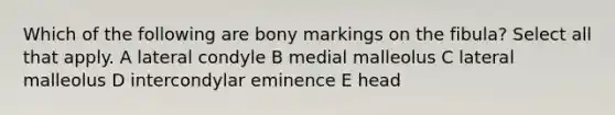 Which of the following are bony markings on the fibula? Select all that apply. A lateral condyle B medial malleolus C lateral malleolus D intercondylar eminence E head