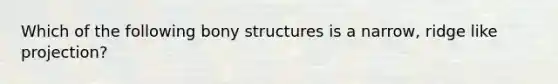 Which of the following bony structures is a narrow, ridge like projection?