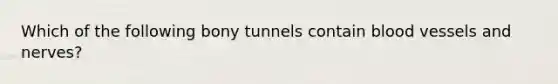 Which of the following bony tunnels contain blood vessels and nerves?