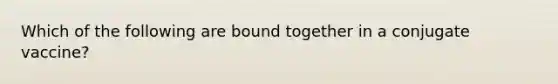 Which of the following are bound together in a conjugate vaccine?