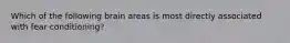 Which of the following brain areas is most directly associated with fear conditioning?