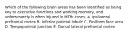 Which of the following brain areas has been identified as being key to executive functions and working memory, and unfortunately is often injured in MTBI cases. A. Ipsilateral prefrontal cortex B. Inferior parietal lobule C. Fusiform face area D. Tempoparietal junction E. Dorsal lateral prefrontal cortex