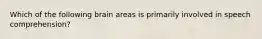 Which of the following brain areas is primarily involved in speech comprehension?