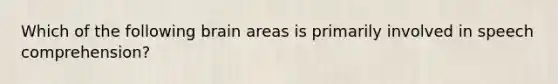 Which of the following brain areas is primarily involved in speech comprehension?