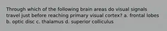 Through which of the following brain areas do visual signals travel just before reaching primary visual cortex? a. frontal lobes b. optic disc c. thalamus d. superior colliculus