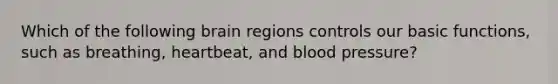 Which of the following brain regions controls our basic functions, such as breathing, heartbeat, and blood pressure?