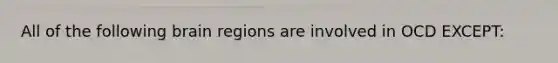 All of the following brain regions are involved in OCD EXCEPT: