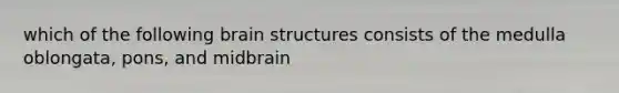 which of the following brain structures consists of the medulla oblongata, pons, and midbrain