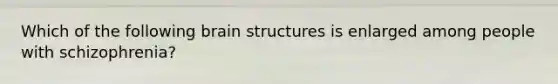 Which of the following brain structures is enlarged among people with schizophrenia?