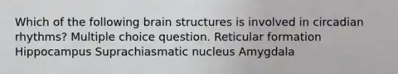 Which of the following brain structures is involved in circadian rhythms? Multiple choice question. Reticular formation Hippocampus Suprachiasmatic nucleus Amygdala