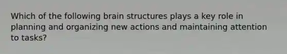 Which of the following brain structures plays a key role in planning and organizing new actions and maintaining attention to tasks?