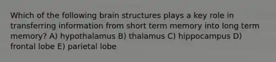 Which of the following brain structures plays a key role in transferring information from short term memory into long term memory? A) hypothalamus B) thalamus C) hippocampus D) frontal lobe E) parietal lobe