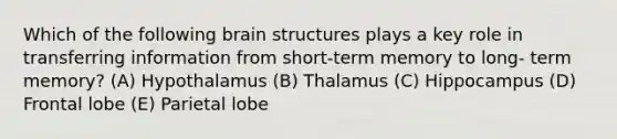 Which of the following brain structures plays a key role in transferring information from short-term memory to long- term memory? (A) Hypothalamus (B) Thalamus (C) Hippocampus (D) Frontal lobe (E) Parietal lobe