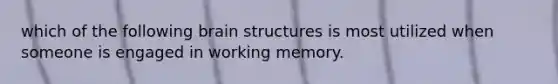 which of the following brain structures is most utilized when someone is engaged in working memory.