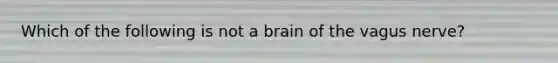 Which of the following is not a brain of the vagus nerve?