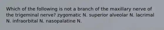 Which of the following is not a branch of the maxillary nerve of the trigeminal nerve? zygomatic N. superior alveolar N. lacrimal N. infraorbital N. nasopalatine N.