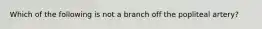 Which of the following is not a branch off the popliteal artery?