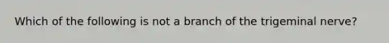 Which of the following is not a branch of the trigeminal nerve?