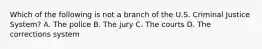 Which of the following is not a branch of the U.S. Criminal Justice System? A. The police B. The jury C. The courts D. The corrections system