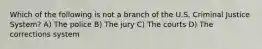 Which of the following is not a branch of the U.S. Criminal Justice System? A) The police B) The jury C) The courts D) The corrections system