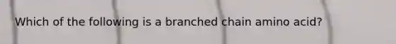 Which of the following is a branched chain amino acid?