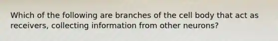 Which of the following are branches of the cell body that act as receivers, collecting information from other neurons?