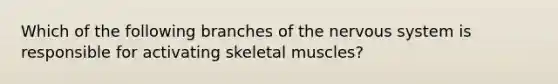 Which of the following branches of the nervous system is responsible for activating skeletal muscles?