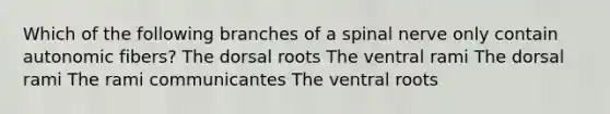 Which of the following branches of a spinal nerve only contain autonomic fibers? The dorsal roots The ventral rami The dorsal rami The rami communicantes The ventral roots