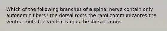 Which of the following branches of a spinal nerve contain only autonomic fibers? the dorsal roots the rami communicantes the ventral roots the ventral ramus the dorsal ramus