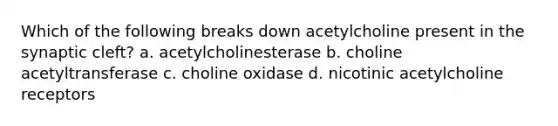 Which of the following breaks down acetylcholine present in the synaptic cleft? a. acetylcholinesterase b. choline acetyltransferase c. choline oxidase d. nicotinic acetylcholine receptors