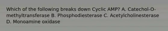 Which of the following breaks down Cyclic AMP? A. Catechol-O-methyltransferase B. Phosphodiesterase C. Acetylcholinesterase D. Monoamine oxidase