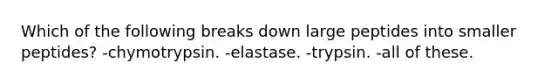 Which of the following breaks down large peptides into smaller peptides? -chymotrypsin. -elastase. -trypsin. -all of these.