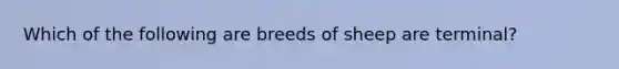 Which of the following are breeds of sheep are terminal?