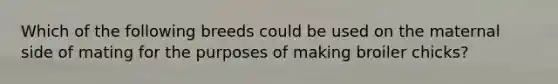 Which of the following breeds could be used on the maternal side of mating for the purposes of making broiler chicks?