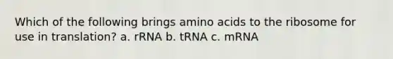 Which of the following brings <a href='https://www.questionai.com/knowledge/k9gb720LCl-amino-acids' class='anchor-knowledge'>amino acids</a> to the ribosome for use in translation? a. rRNA b. tRNA c. mRNA