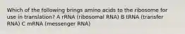 Which of the following brings amino acids to the ribosome for use in translation? A rRNA (ribosomal RNA) B tRNA (transfer RNA) C mRNA (messenger RNA)