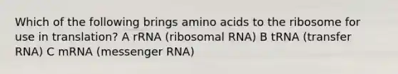 Which of the following brings amino acids to the ribosome for use in translation? A rRNA (ribosomal RNA) B tRNA (transfer RNA) C mRNA (messenger RNA)