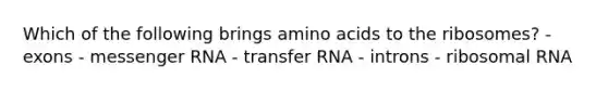 Which of the following brings amino acids to the ribosomes? - exons - messenger RNA - transfer RNA - introns - ribosomal RNA