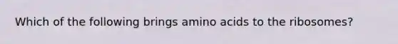 Which of the following brings amino acids to the ribosomes?