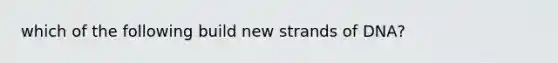 which of the following build new strands of DNA?