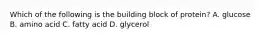 Which of the following is the building block of protein? A. glucose B. amino acid C. fatty acid D. glycerol