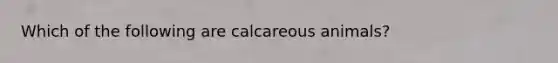 Which of the following are calcareous animals?