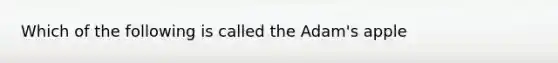 Which of the following is called the Adam's apple