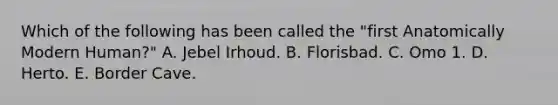 Which of the following has been called the "first Anatomically Modern Human?" A. Jebel Irhoud. B. Florisbad. C. Omo 1. D. Herto. E. Border Cave.