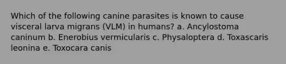 Which of the following canine parasites is known to cause visceral larva migrans (VLM) in humans? a. Ancylostoma caninum b. Enerobius vermicularis c. Physaloptera d. Toxascaris leonina e. Toxocara canis